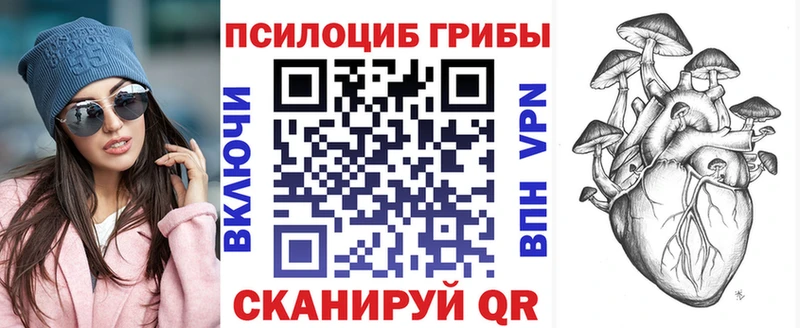 Галлюциногенные грибы Psilocybine cubensis Николаевск-на-Амуре