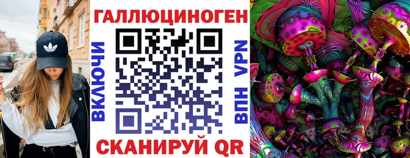 блэк спрут tor Николаевск-на-Амуре Псилоцибиновые грибы прущие грибы наркошоп